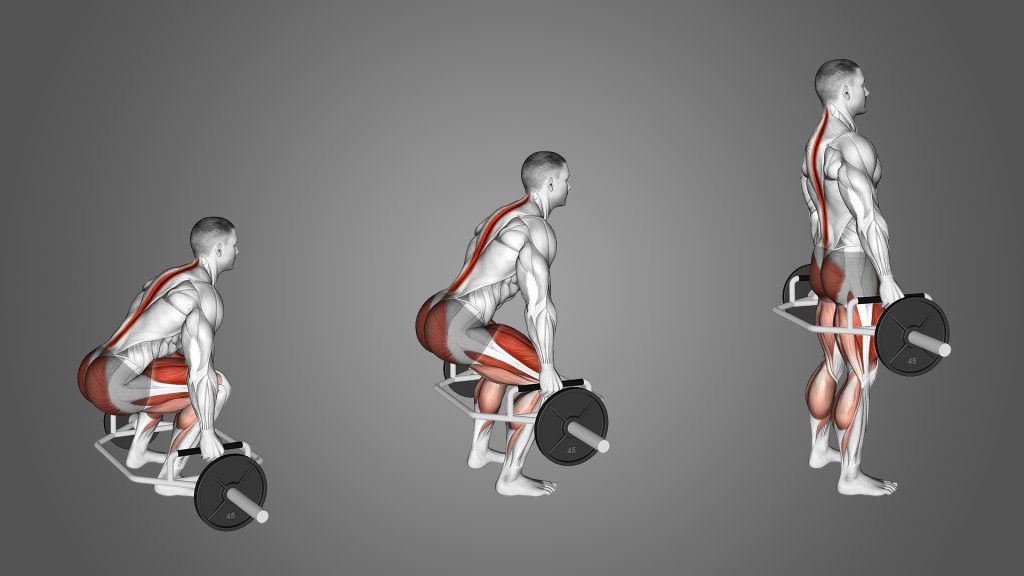  Image of three men doing dead lifts. It shows the muscles that the deadlift affects
