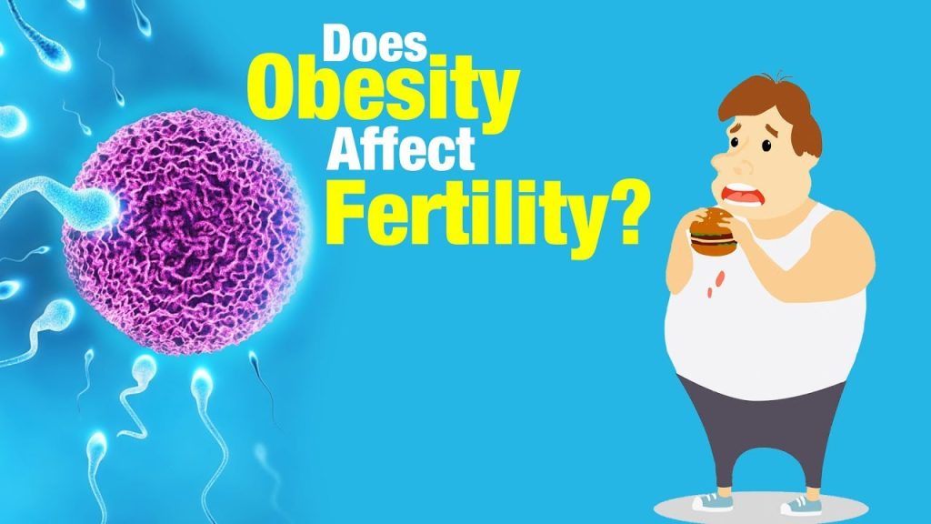 Does obesity affect fertility?