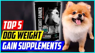 Supplements and Additives to Boost Your Dog's Caloric Intake